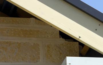 soffit repair Pitch Green
