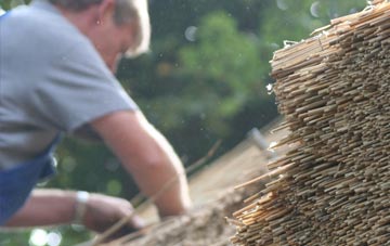 professional Pitch Green thatchers